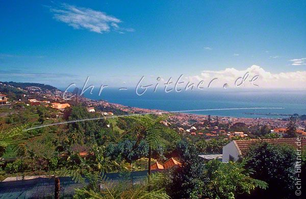 001 Madeira-2001 013 01-35